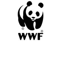 Współpraca z WWF Polska